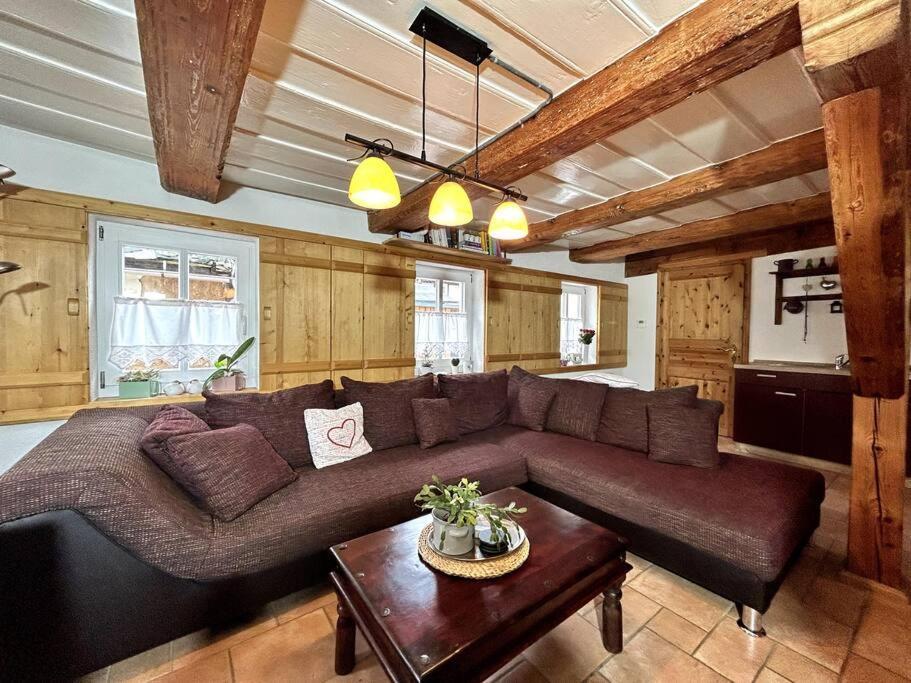 Rustikales Studio-Apartment Blockstube Im Haus Selma Grossschoenau Ngoại thất bức ảnh