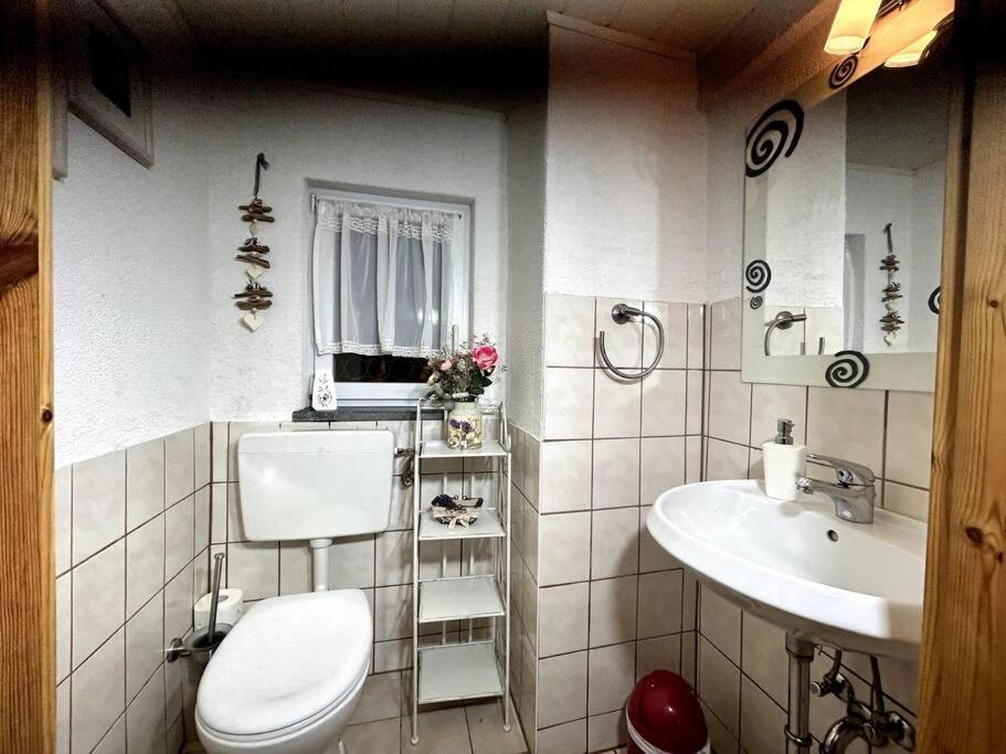 Rustikales Studio-Apartment Blockstube Im Haus Selma Grossschoenau Ngoại thất bức ảnh